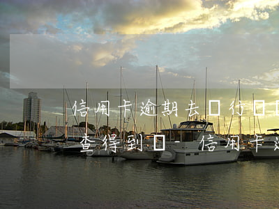信用卡逾期去銀行辦業(yè)務(wù)查得到嗎-信用卡逾期去銀行辦業(yè)務(wù)查得到嗎安全嗎
