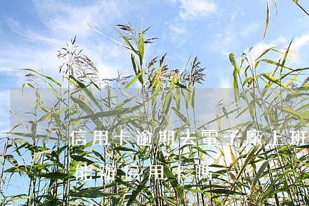 信用卡逾期去電子廠上班可以嗎(在工廠上班能辦信用卡嗎)