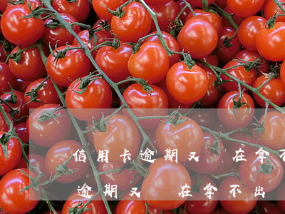 信用卡逾期又實在拿不出錢怎么辦-信用卡逾期又實在拿不出錢怎么辦呢
