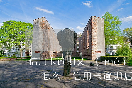 信用卡逾期又沒(méi)錢(qián)還怎么辦（信用卡逾期后又沒(méi)錢(qián)還）