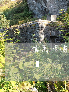 信用卡逾期又沒辦法還 信用卡逾期又沒辦法還