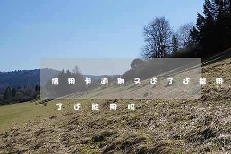 信用卡逾期又还了还能用吗(逾期的信用卡还了还能用吗)