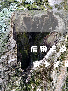 信用卡逾期及時(shí)止損有什么用 信用卡逾期及時(shí)止損有什么用處