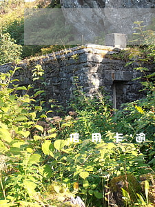 信用卡逾期反催投訴(“信用卡逾期”)