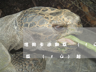 信用卡逾期反復(fù)起訴-信用卡逾期反復(fù)起訴