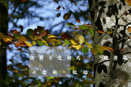 信用卡逾期反訴銀行有效嗎(什么情況下信用卡逾期會被起訴)