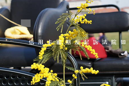 信用卡逾期反起訴(法院如何判信用卡逾期)
