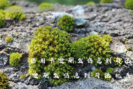 信用卡逾期发信息到司法机关协调-信用卡逾期发信息到司法机关协调是真的吗
