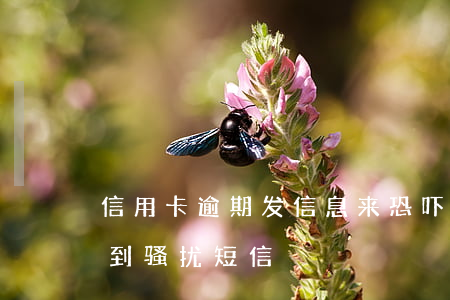 信用卡逾期发信息来恐吓(信用卡逾期老是收到骚扰短信)