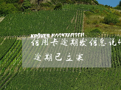 信用卡逾期发信息说48小时(发短信信用卡逾期已立案)
