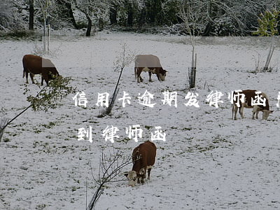 信用卡逾期发律师函严重吗(因信用卡逾期收到律师函)