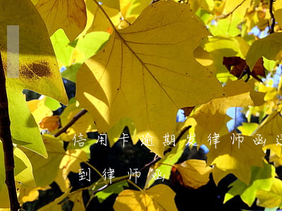 信用卡逾期发律师函违规吗(因信用卡逾期收到律师函)