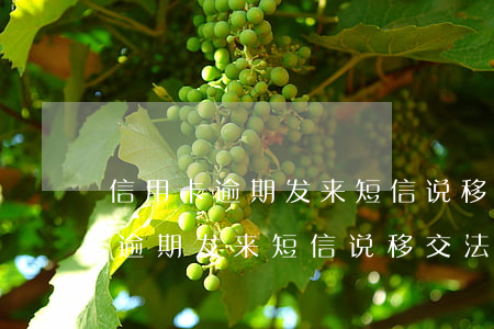 信用卡逾期发来短信说移交法务部-信用卡逾期发来短信说移交法务部是真的吗