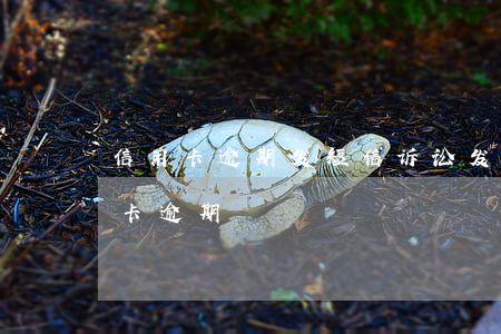 信用卡逾期发短信诉讼(发了一条短信说信用卡逾期)