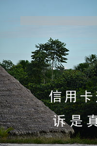 信用卡逾期发短信败诉(信用卡逾期发短信败诉是真的吗)