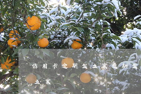 信用卡逾期发立案通知(发短信信用卡逾期已立案)