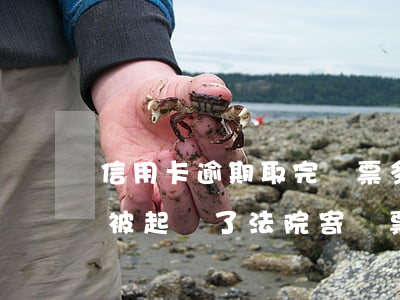 信用卡逾期取完傳票多久開庭(欠信用卡逾期被起訴了 法院寄傳票寄到哪里)