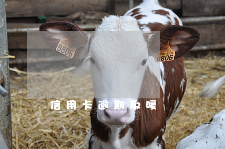 信用卡逾期取暖視頻