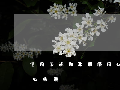 信用卡逾期取消使用6(逾期停用的信用卡怎么恢复)