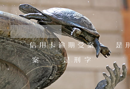 信用卡逾期受案編號是刑字嗎(信用卡逾期受案編號是刑字嗎)