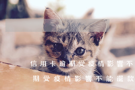 信用卡逾期受疫情影響不能還款-信用卡逾期受疫情影響不能還款怎么辦