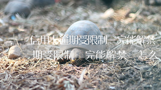 信用卡逾期受限制還完能解禁嗎-信用卡逾期受限制還完能解禁嗎怎么辦