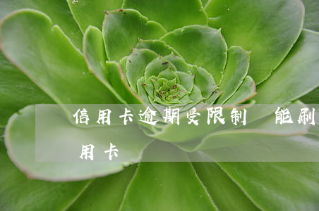信用卡逾期受限制還能刷嗎(可以刷超限的信用卡)