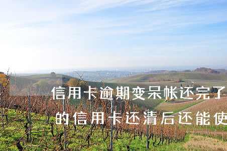 信用卡逾期变呆帐还完了可以注销(变成呆账的信用卡还清后还能使用吗)