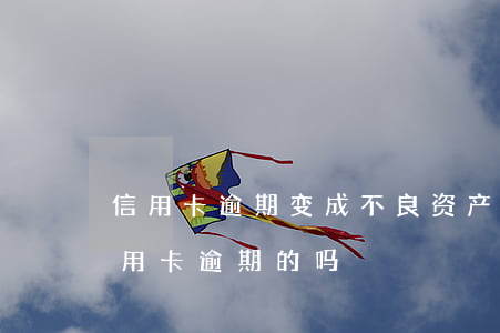 信用卡逾期变成不良资产处置(有专门处理信用卡逾期的吗)