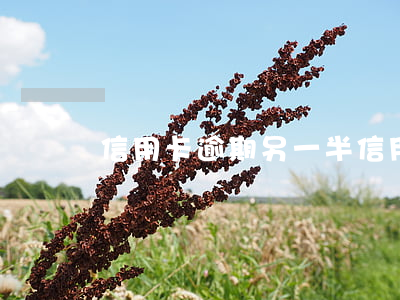 信用卡逾期另一半(信用卡逾期另一半能貸款嗎)