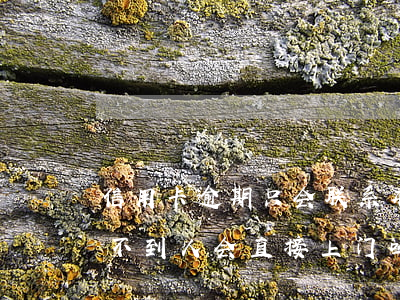 信用卡逾期只会联系本人吗(信用卡逾期联系不到人会直接上门吗)