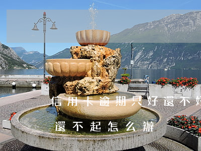 信用卡逾期只好還不好借(信用卡貸款逾期了還不起怎么辦)