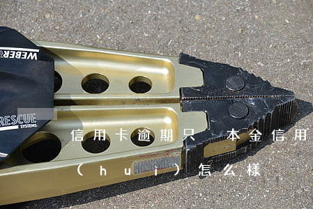 信用卡逾期只換本金(信用卡逾期只換本金會(huì)怎么樣)