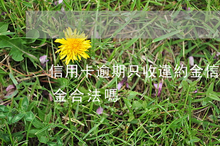 信用卡逾期只收違約金(信用卡逾期只收違約金合法嗎)