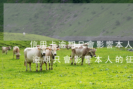信用卡逾期只會影響本人的征信嗎-信用卡逾期只會影響本人的征信嗎知乎