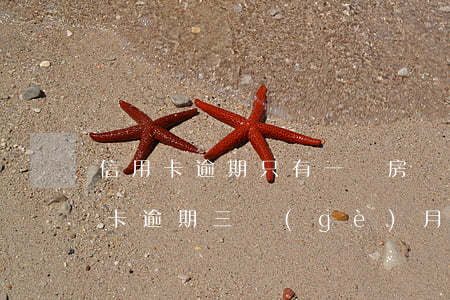 信用卡逾期只有一處房產(chǎn)(信用卡逾期三個(gè)月被起訴名下房產(chǎn)怎么辦)