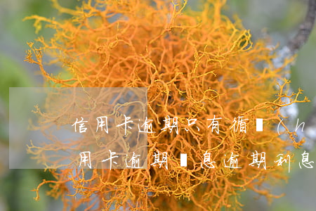 信用卡逾期只有循環(huán)利息-信用卡 逾期罰息 逾期利息