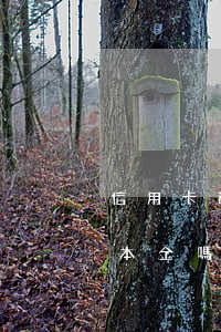信用卡逾期只有本金行嗎(信用卡逾期能只還本金嗎)