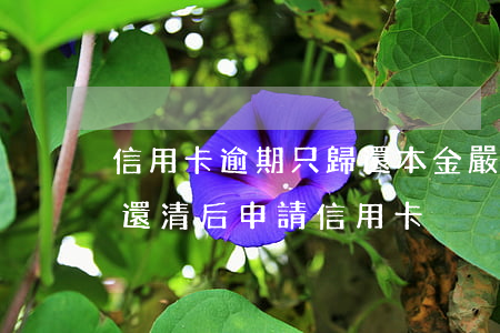 信用卡逾期只歸還本金(嚴(yán)重逾期還清后申請信用卡)