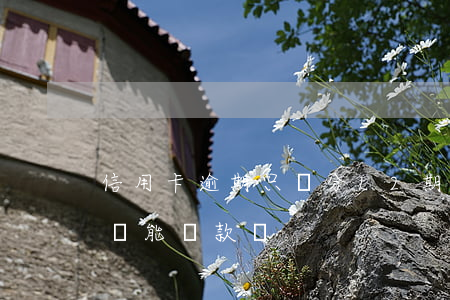 信用卡逾期只給分12期(信用卡逾期12次還能貸款嗎)