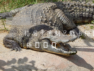 信用卡逾期只能去柜臺還款(還信用卡可以去柜臺還嗎)