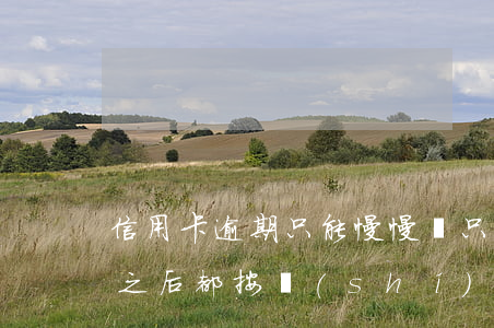信用卡逾期只能慢慢還(只逾期過一次信用卡,之后都按時(shí)還款,征信影響大嗎)