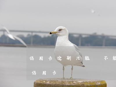 信用卡逾期只能還不能取(有逾期還能不能辦信用卡)