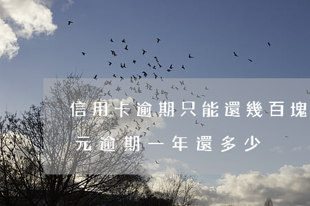 信用卡逾期只能還幾百塊(信用卡10000元逾期一年還多少)