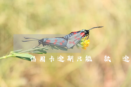 信用卡逾期只能還款嗎(逾期不還信用卡)