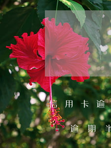 信用卡逾期只能還錢不能消費(fèi)了-逾期半年的信用卡還完錢還能用嗎