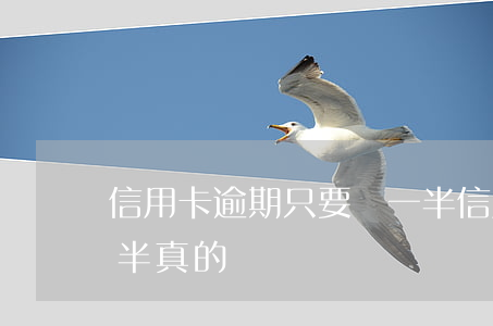 信用卡逾期只要還一半(信用卡逾期只要還一半真的嗎)