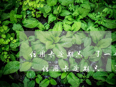 信用卡逾期只還了一半會(huì)怎么樣-信用卡逾期只還了一半會(huì)怎么樣嗎