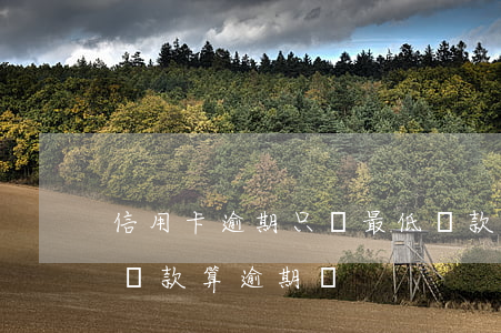 信用卡逾期只還最低還款額(信用卡還了最低還款算逾期嗎)