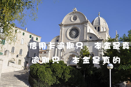 信用卡逾期只還本金是真的嗎上海-信用卡逾期只還本金是真的嗎上海